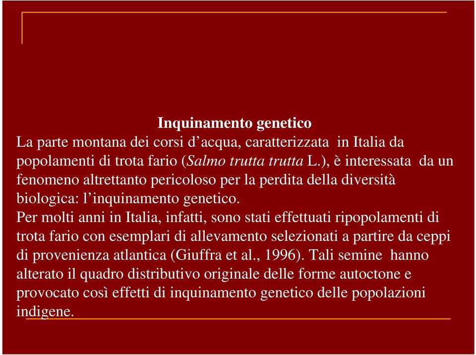 Per molti anni in Italia, infatti, sono stati effettuati ripopolamenti di trota fario con esemplari di allevamento selezionati a partire da ceppi di