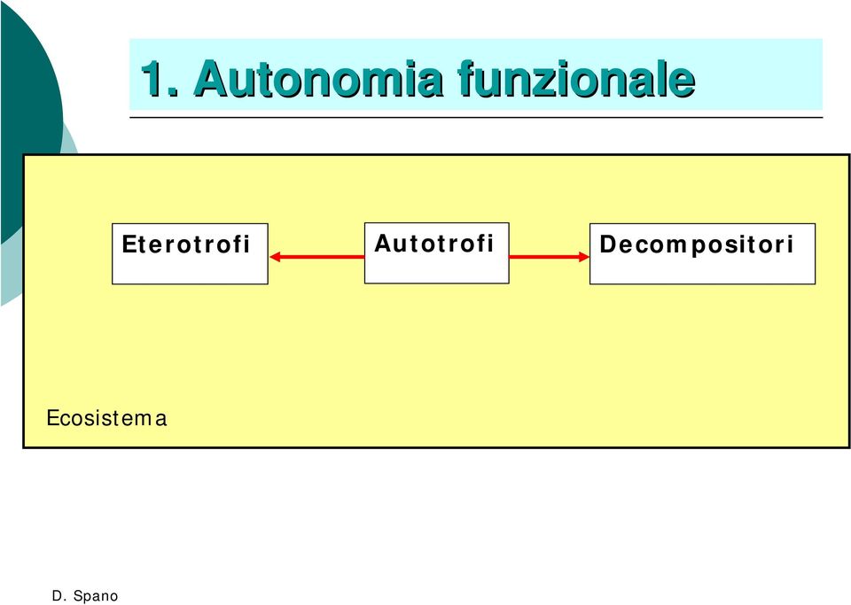 Eterotrofi