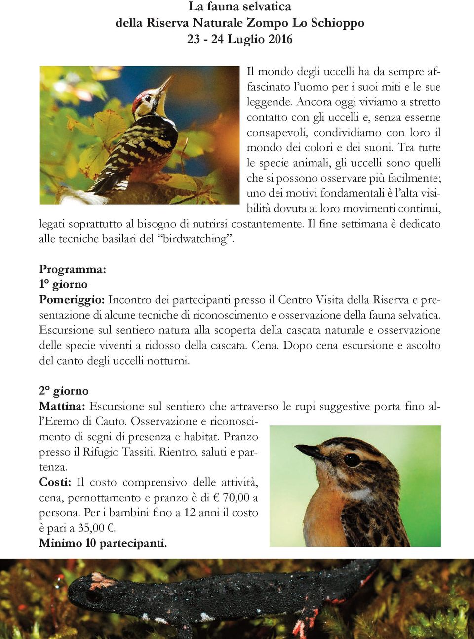 Tra tutte le specie animali, gli uccelli sono quelli che si possono osservare più facilmente; uno dei motivi fondamentali è l alta visibilità dovuta ai loro movimenti continui, legati soprattutto al