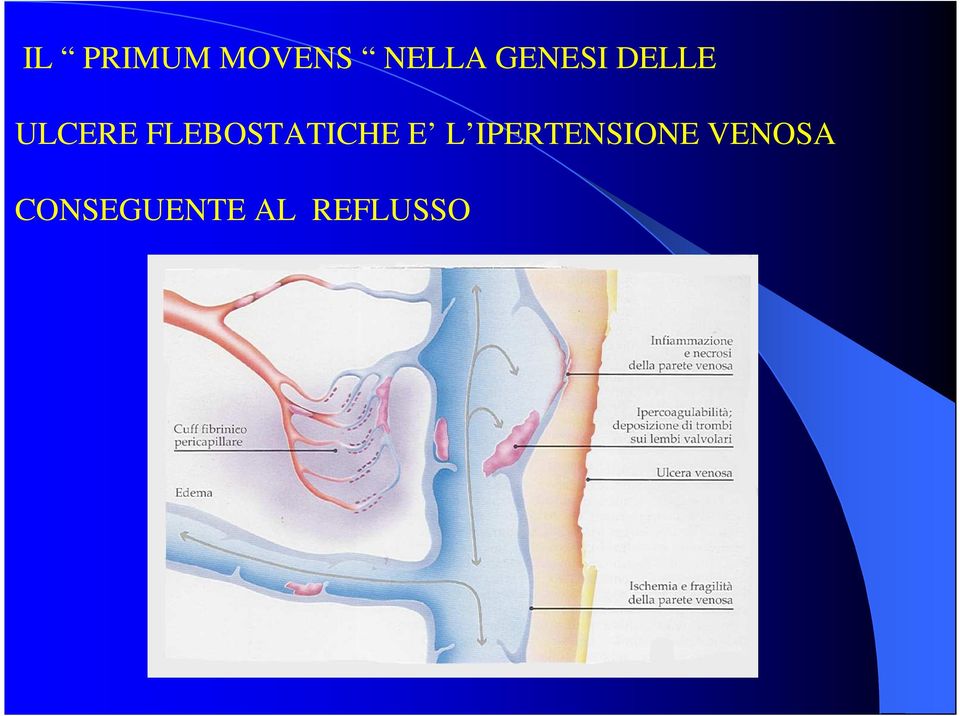 FLEBOSTATICHE E L