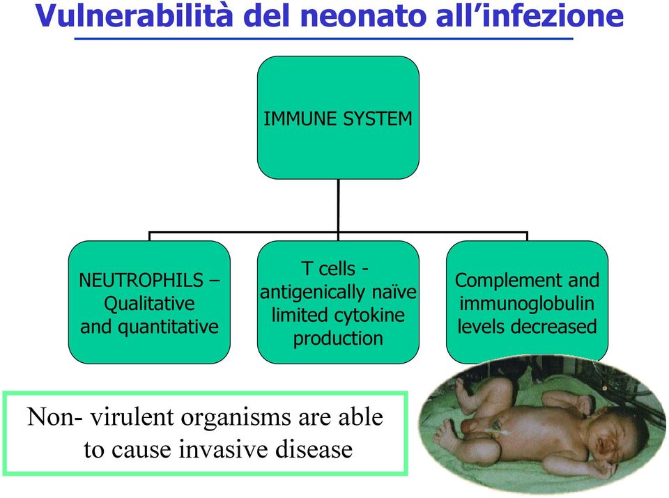 naïve limited cytokine production Complement and immunoglobulin