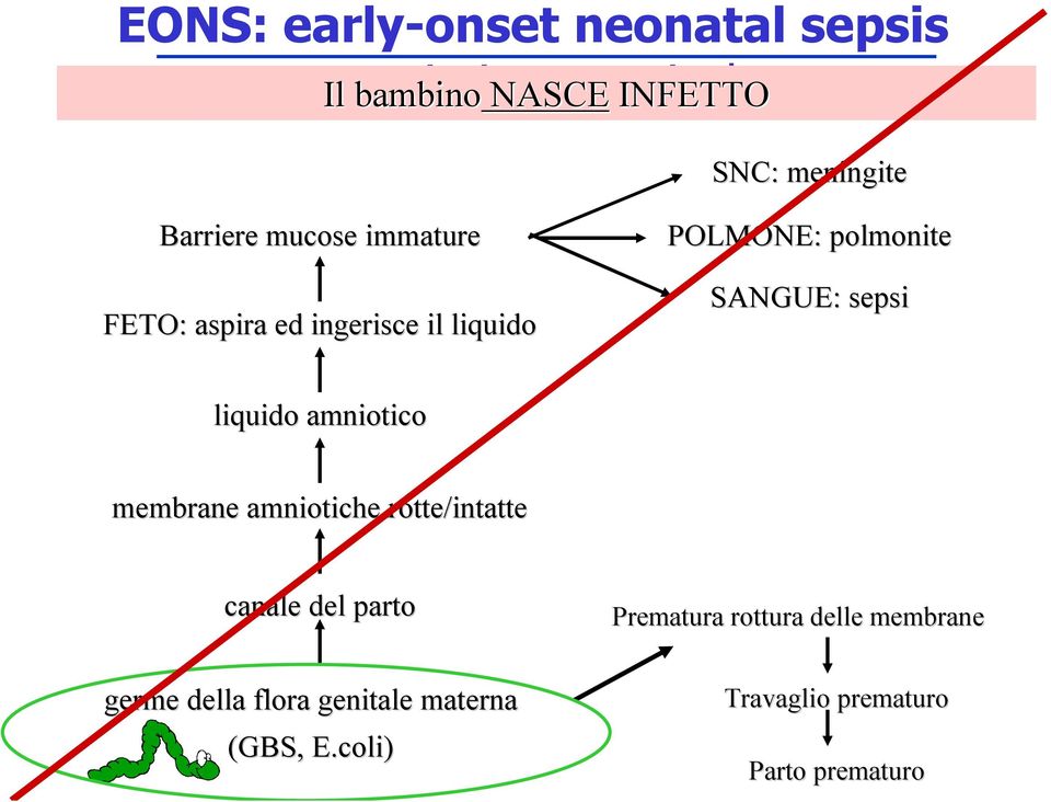 SANGUE: sepsi liquido amniotico membrane amniotiche rotte/intatte canale del parto Prematura