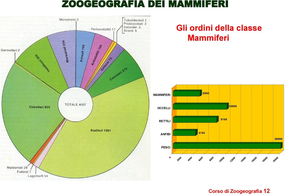 Corso di Zoogeografia 12 20 00 0 18 00 0 16 00 0