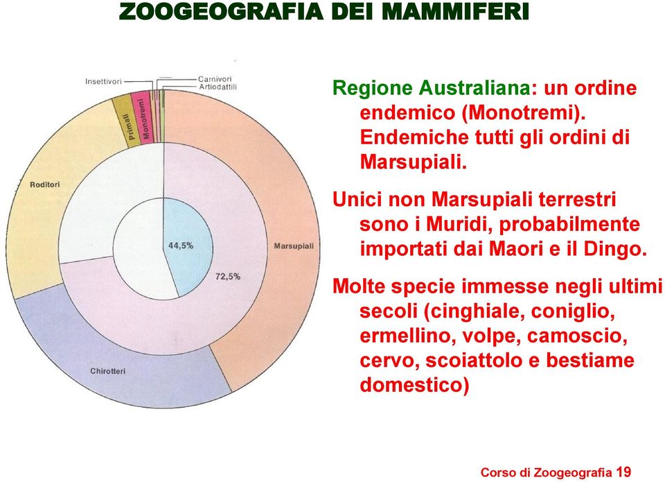 Unici non Marsupiali terrestri sono i Muridi, probabilmente importati dai Maori e il