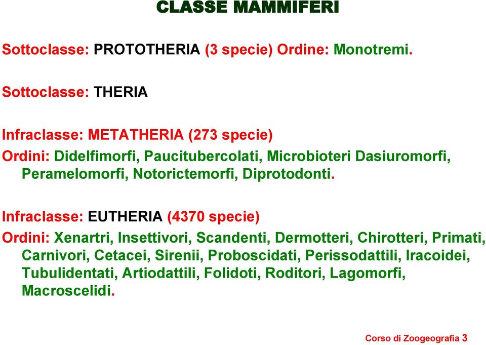 Peramelomorfi, Notorictemorfi, Diprotodonti.