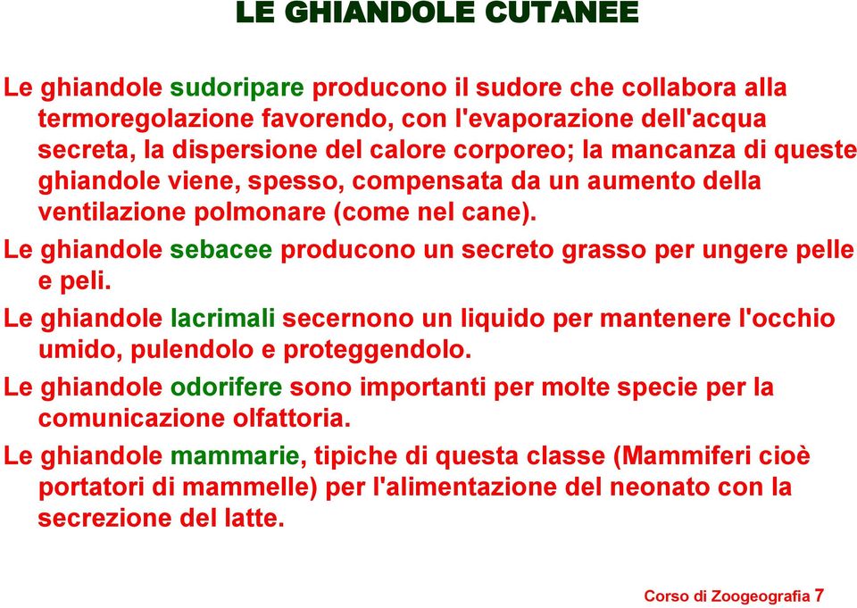 Le ghiandole sebacee producono un secreto grasso per ungere pelle e peli. Le ghiandole lacrimali secernono un liquido per mantenere l'occhio umido, pulendolo e proteggendolo.