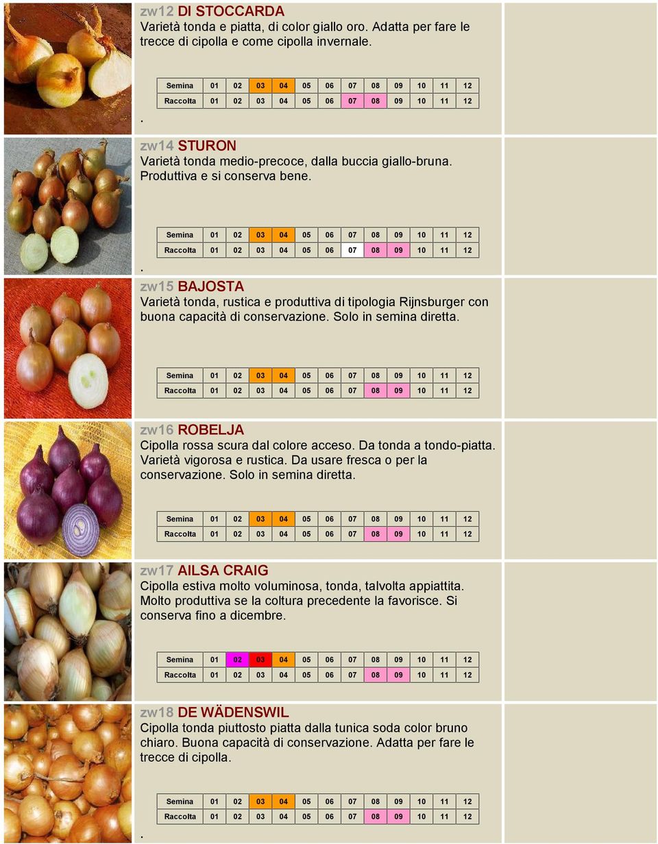 colore acceso Da tonda a tondo-piatta Varietà vigorosa e rustica Da usare fresca o per la conservazione Solo in semina diretta zw17 AILSA CRAIG Cipolla estiva molto voluminosa, tonda, talvolta