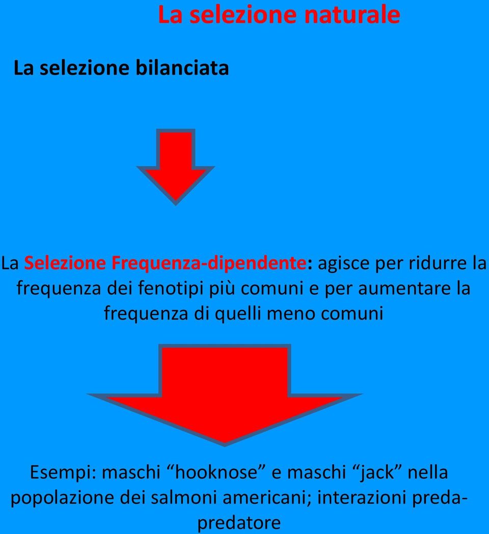 comuni e per aumentare la frequenza di quelli meno comuni Esempi: maschi