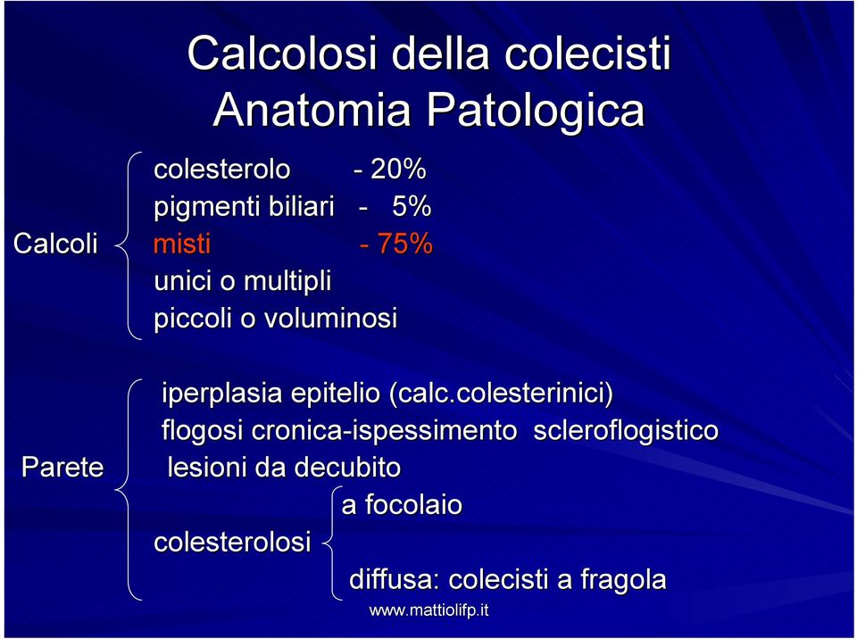 epitelio (calc.