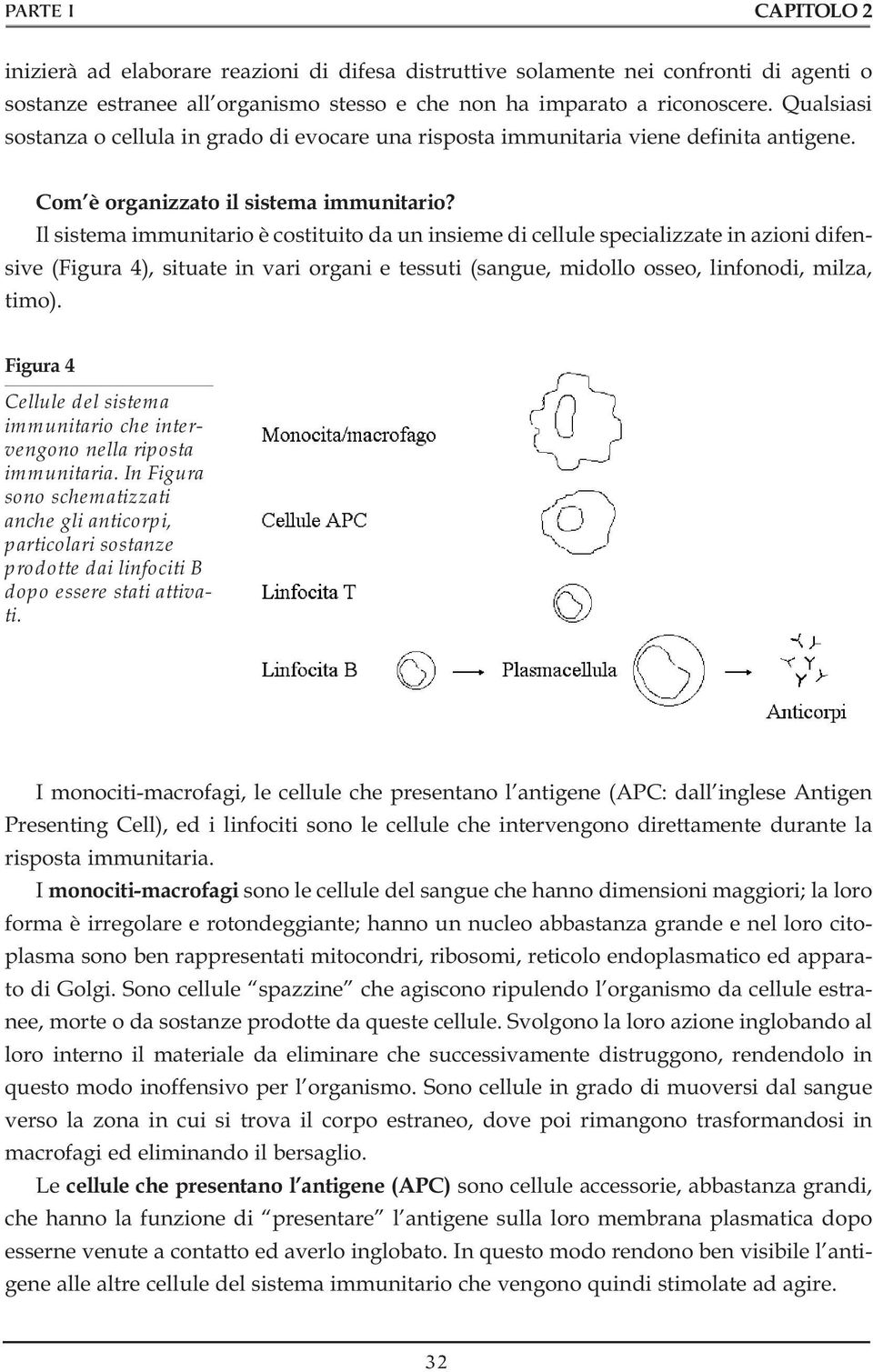 Il sistema immunitario è costituito da un insieme di cellule specializzate in azioni difensive (Figura 4), situate in vari organi e tessuti (sangue, midollo osseo, linfonodi, milza, timo).