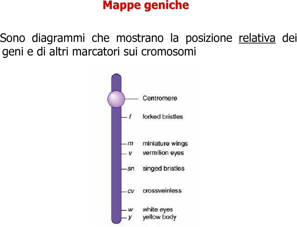 posizione relativa dei