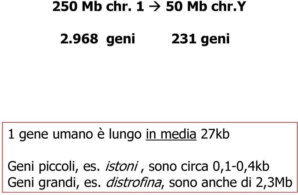 media 27kb Geni piccoli, es.