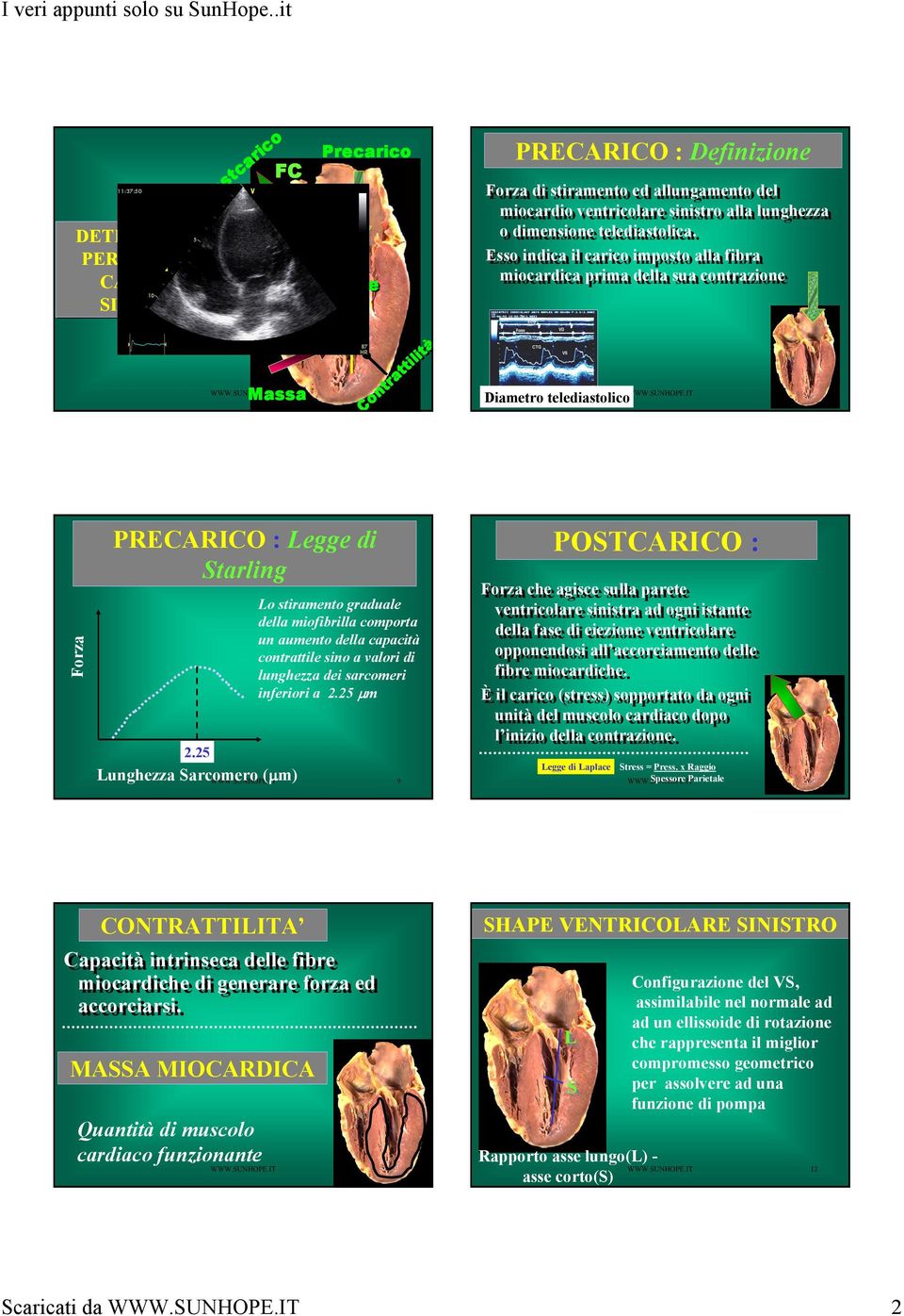 IT 7 ContrattilitàContrattilit Contrattilit ContrattilitàContrattilit Contrattilit Diametro telediastolico WWW.SUNHOPE.IT 8 Forza PRECARICO : Legge di Starling 2.