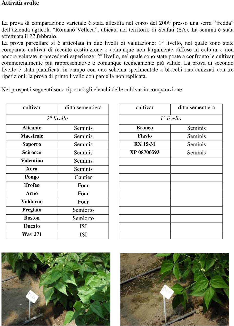 La prova parcellare si è articolata in due livelli di valutazione: 1 livello, nel quale sono state comparate cultivar di recente costituzione o comunque non largamente diffuse in coltura o non ancora