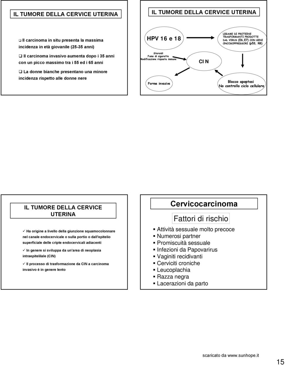 LEGAME DI PROTEINE TRASFORMANTI PRODOTTE DAL VIRUS (E6,E7) CON GENI ONCOSOPPRESSORI (p53, RB) Blocco apoptosi No controllo ciclo cellulare IL TUMORE DELLA CERVICE UTERINA Ha origine a livello della