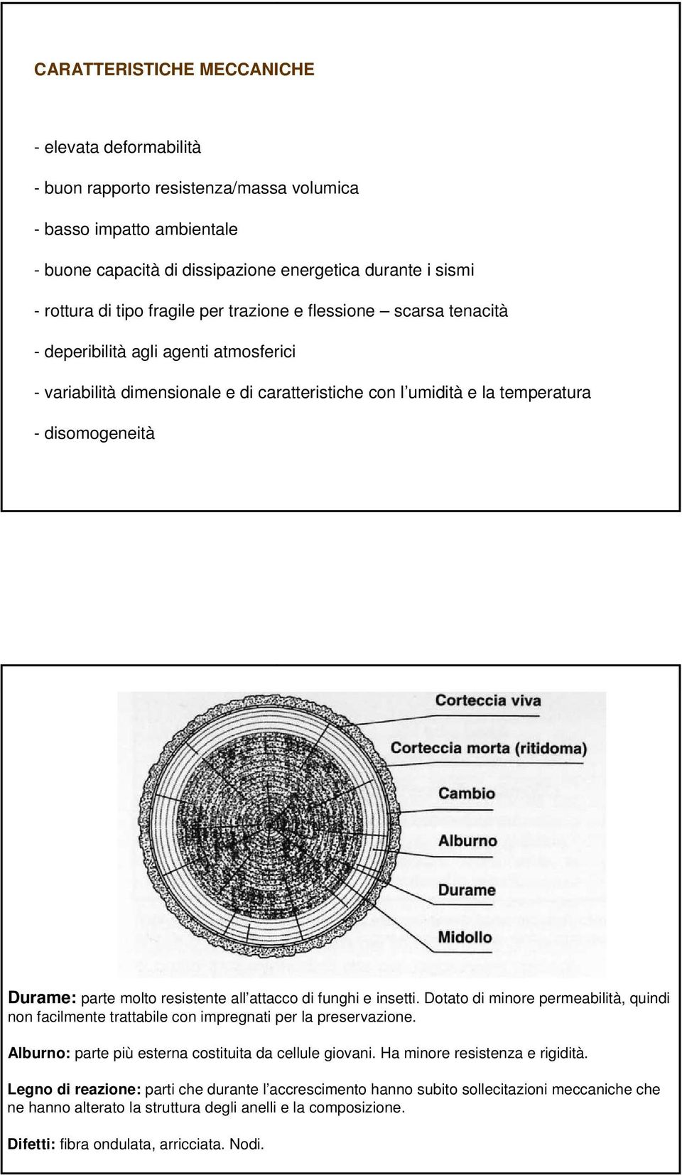 molto resistente all attacco di funghi e insetti. Dotato di minore permeabilità, quindi non facilmente trattabile con impregnati per la preservazione.