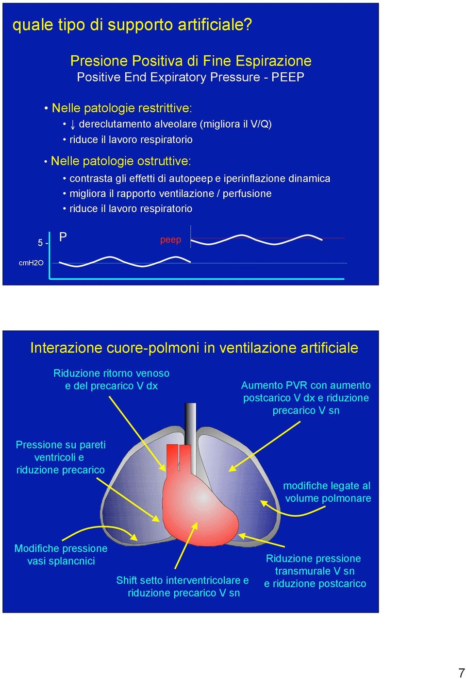 perfusione riduce il lavoro respiratorio 5 - P peep cmh2o Interazione cuore-polmoni in ventilazione artificiale Riduzione ritorno venoso e del precarico V dx Aumento PVR con aumento postcarico V dx e