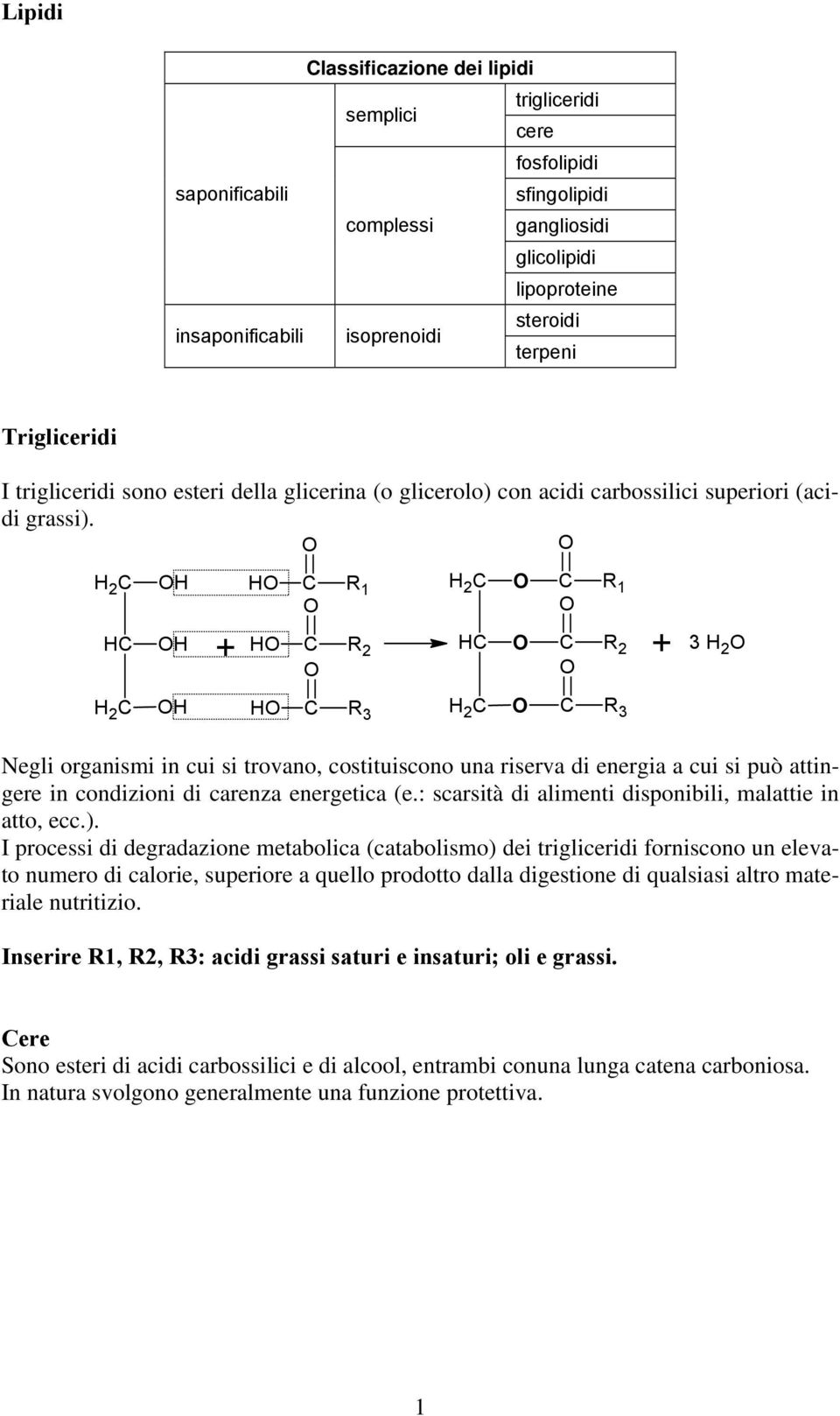 H 2 H H R 1 H 2 R 1 H H + H R 2 H R 2 + 3 H 2 H 2 H H R 3 Negli organismi in cui si trovano, costituiscono una riserva di energia a cui si può attingere in condizioni di carenza energetica (e.