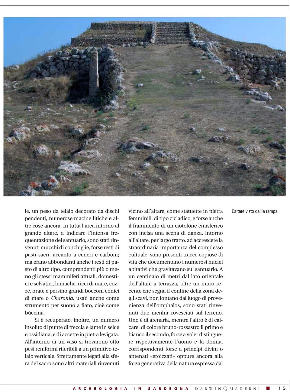 erano abbondanti anche i resti di pasto di altro tipo, comprendenti più o meno gli stessi mammiferi attuali, domestici e selvatici, lumache, ricci di mare, cozze, orate e persino grandi bocconi