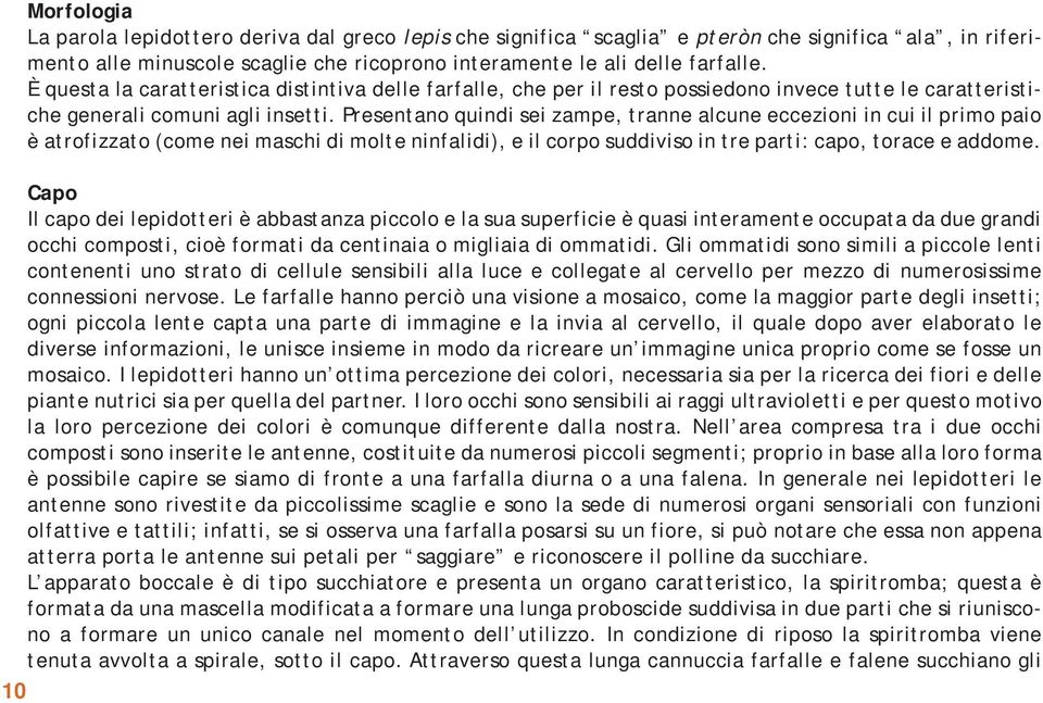 Presentano quindi sei zampe, tranne alcune eccezioni in cui il primo paio è atrofizzato (come nei maschi di molte ninfalidi), e il corpo suddiviso in tre parti: capo, torace e addome.