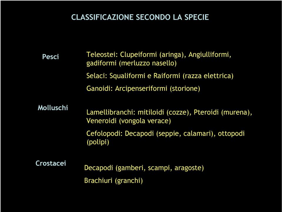 (storione) Lamellibranchi: mitiloidi (cozze), Pteroidi (murena), Veneroidi (vongola verace) Cefolopodi: