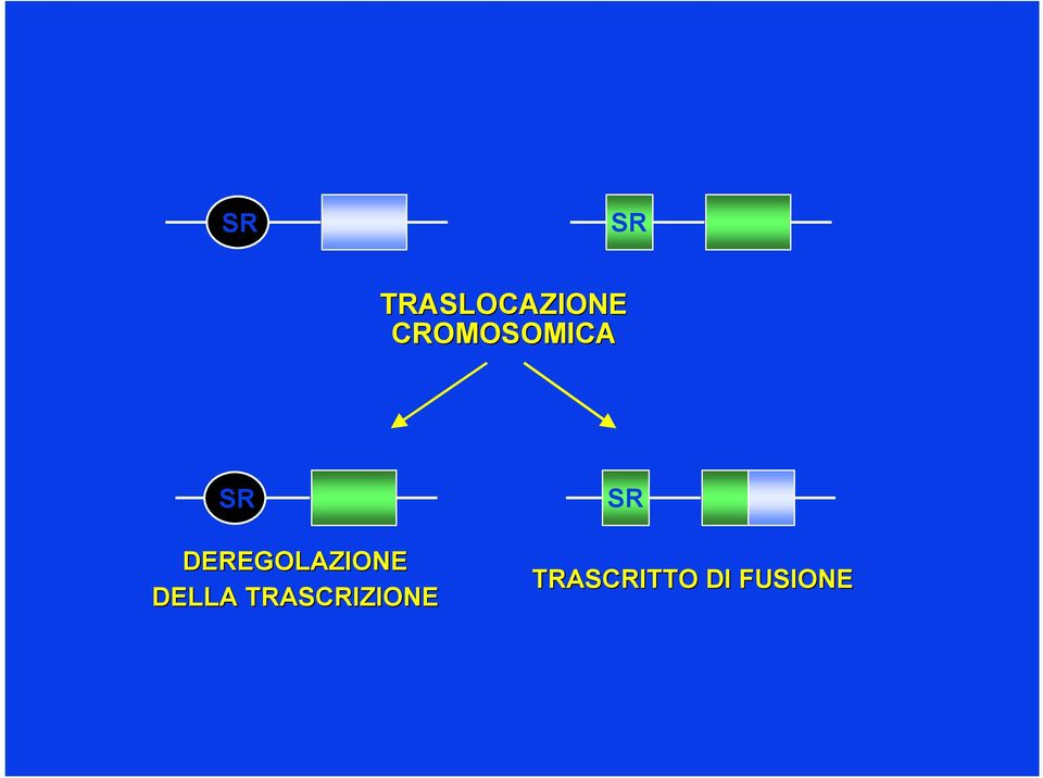 DEREGOLAZIONE DELLA