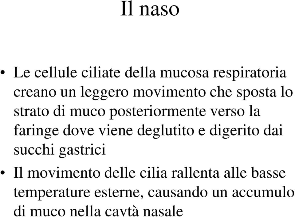 viene deglutito e digerito dai succhi gastrici Il movimento delle cilia