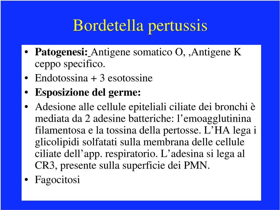 mediata da 2 adesine batteriche: l emoagglutinina filamentosa e la tossina della pertosse.