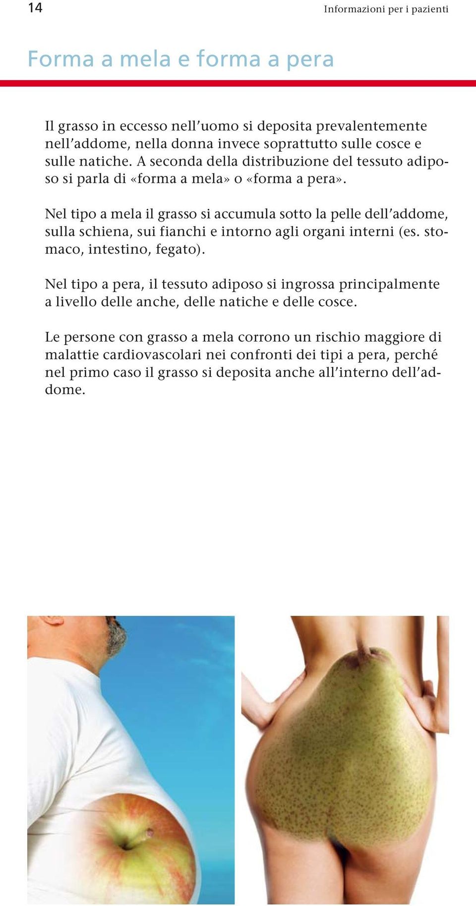 Nel tipo a mela il grasso si accumula sotto la pelle dell addome, sulla schiena, sui fianchi e intorno agli organi interni (es. stomaco, intestino, fegato).