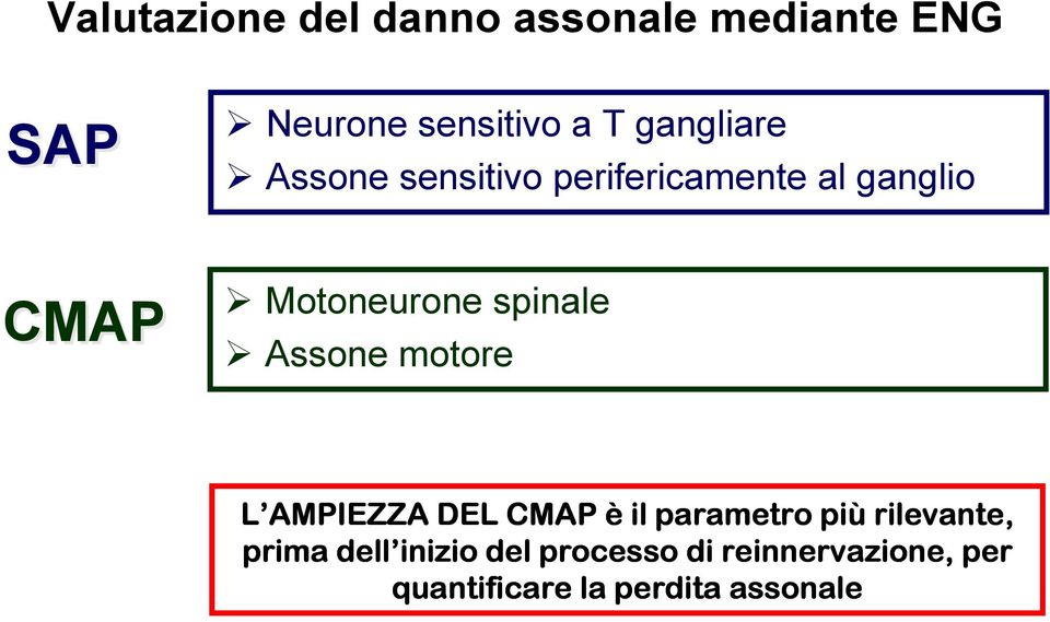 spinale Assone motore L AMPIEZZA DEL CMAP è il parametro più rilevante,