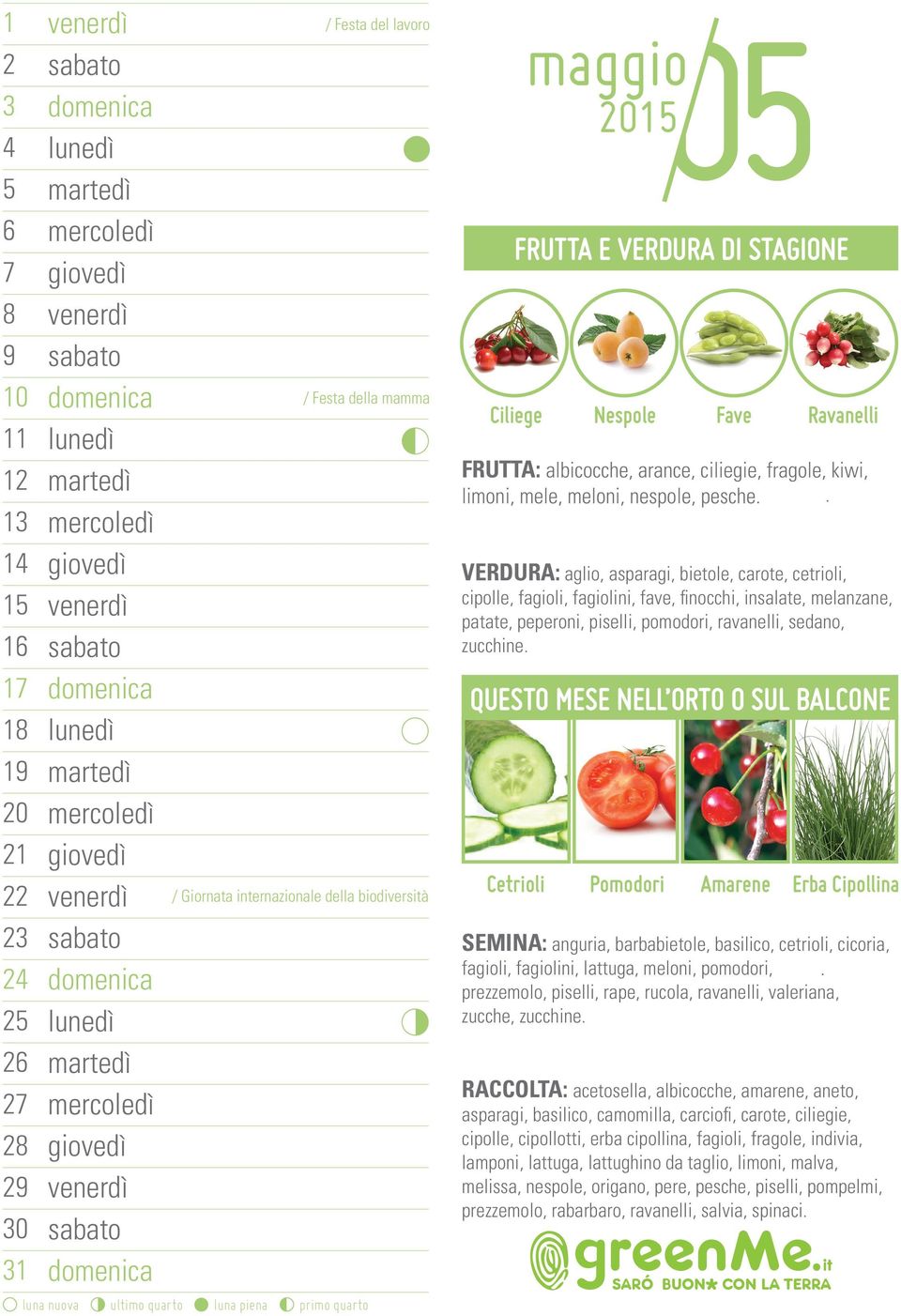 . VERDURA: aglio, asparagi, bietole, carote, cetrioli, cipolle, fagioli, fagiolini, fave, finocchi, insalate, melanzane, patate, peperoni, piselli, pomodori, ravanelli, sedano, zucchine.