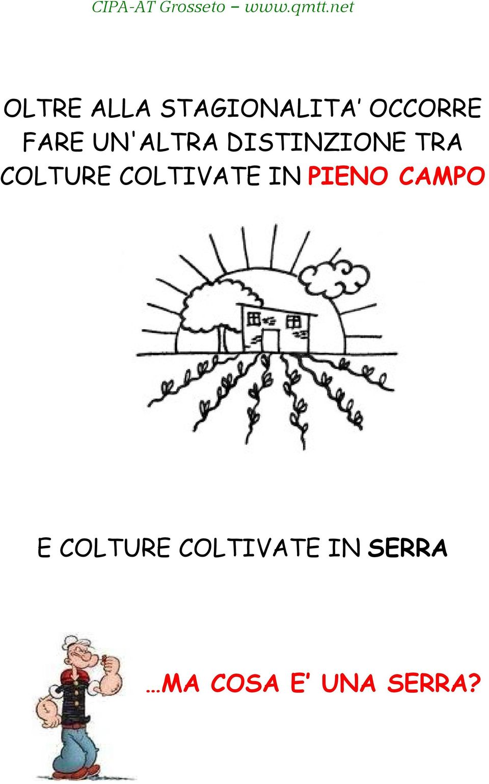 COLTURE COLTIVATE IN PIENO CAMPO E