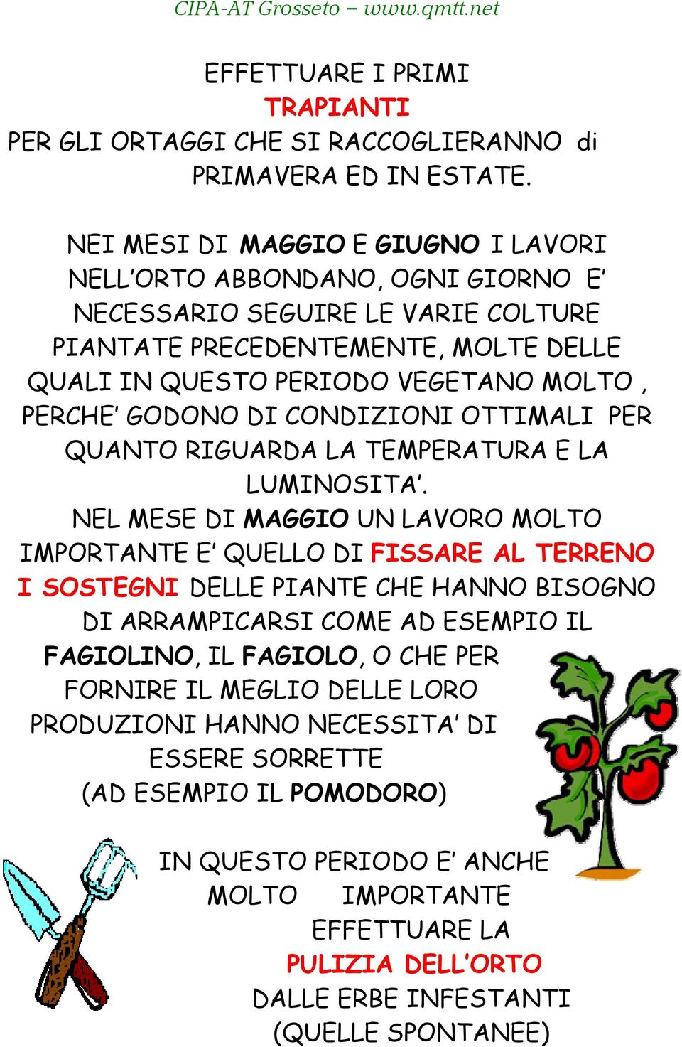 GODONO DI CONDIZIONI OTTIMALI PER QUANTO RIGUARDA LA TEMPERATURA E LA LUMINOSITA.