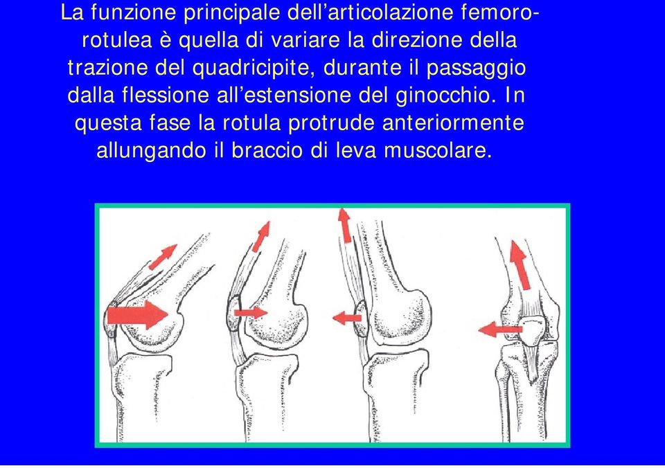 passaggio dalla flessione all estensione del ginocchio.