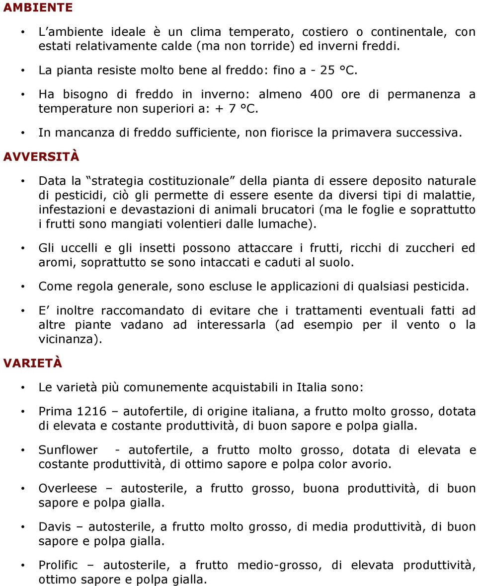 AVVERSITÀ Data la strategia costituzionale della pianta di essere deposito naturale di pesticidi, ciò gli permette di essere esente da diversi tipi di malattie, infestazioni e devastazioni di animali