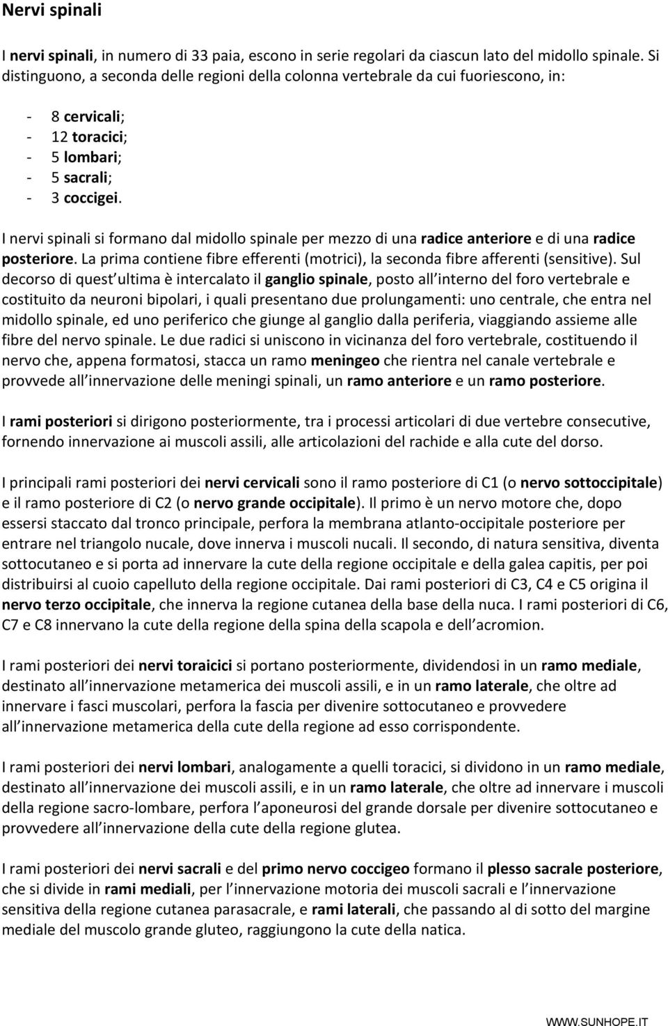 I nervi spinali si formano dal midollo spinale per mezzo di una radice anteriore e di una radice posteriore. La prima contiene fibre efferenti (motrici), la seconda fibre afferenti (sensitive).