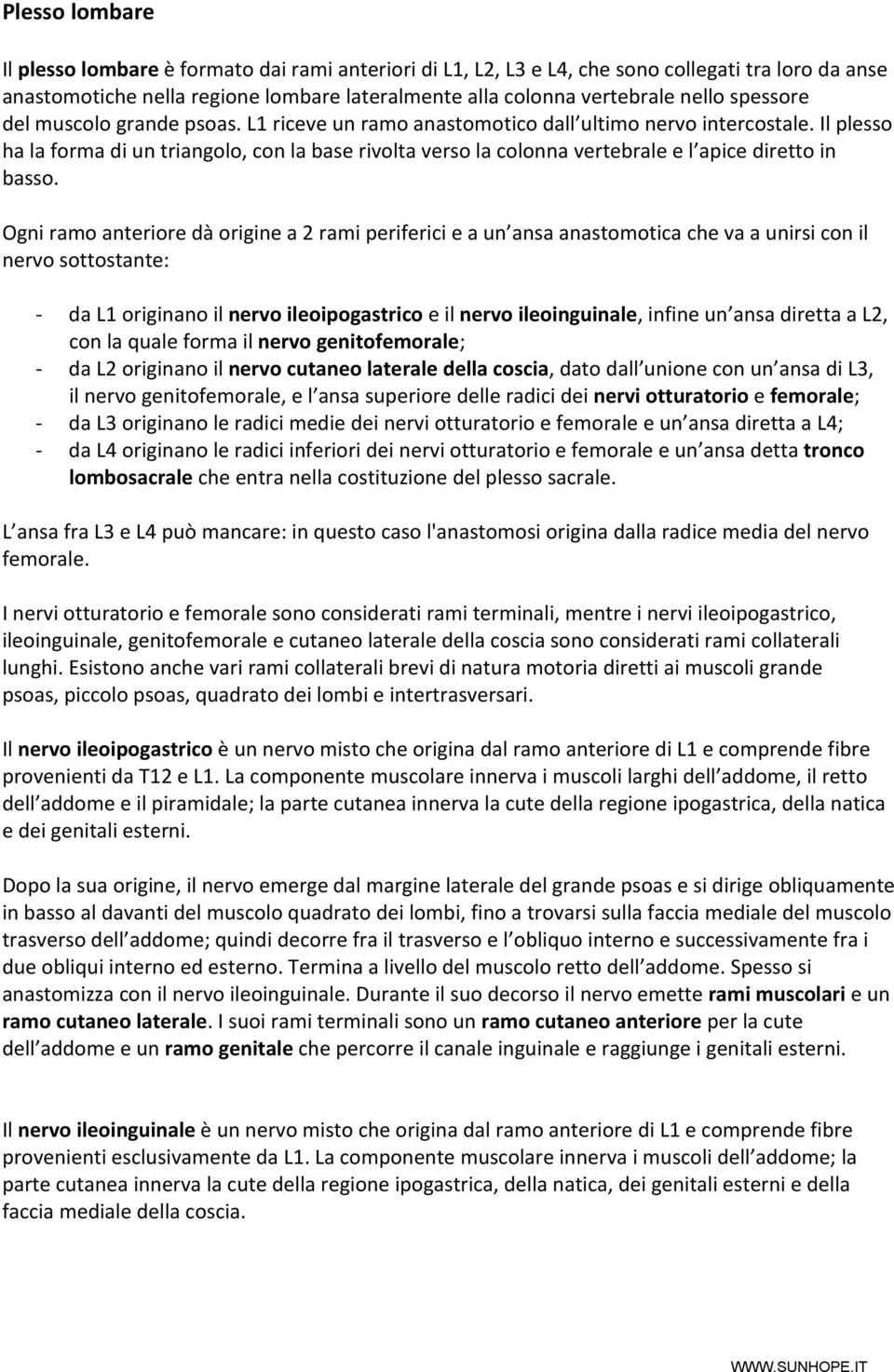 Il plesso ha la forma di un triangolo, con la base rivolta verso la colonna vertebrale e l apice diretto in basso.