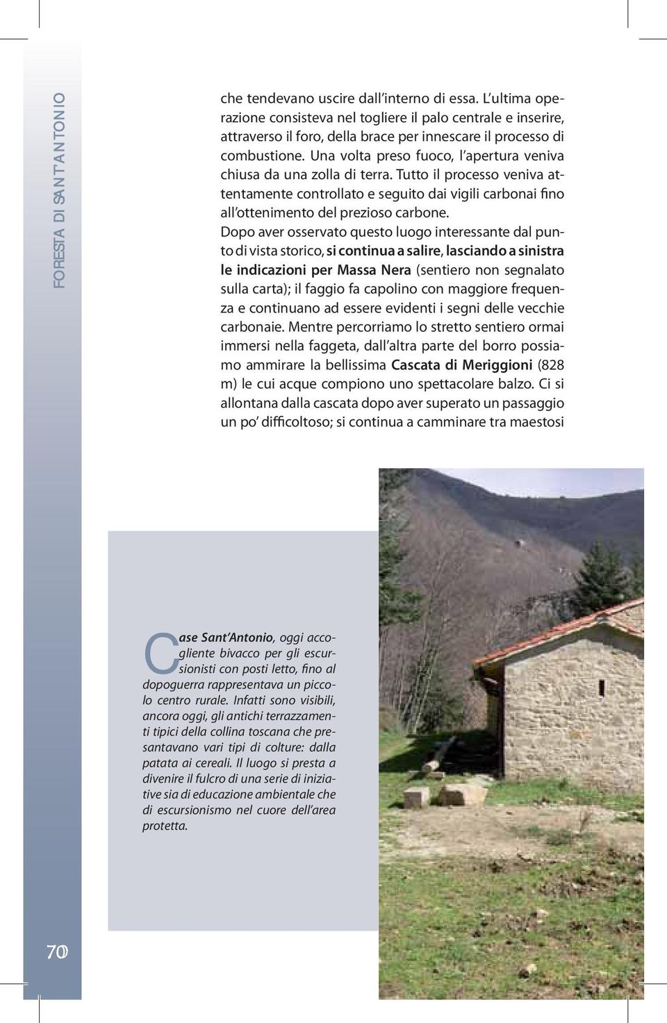 Una volta preso fuoco, l apertura veniva chiusa da una zolla di terra. Tutto il processo veniva attentamente controllato e seguito dai vigili carbonai fino all ottenimento del prezioso carbone.