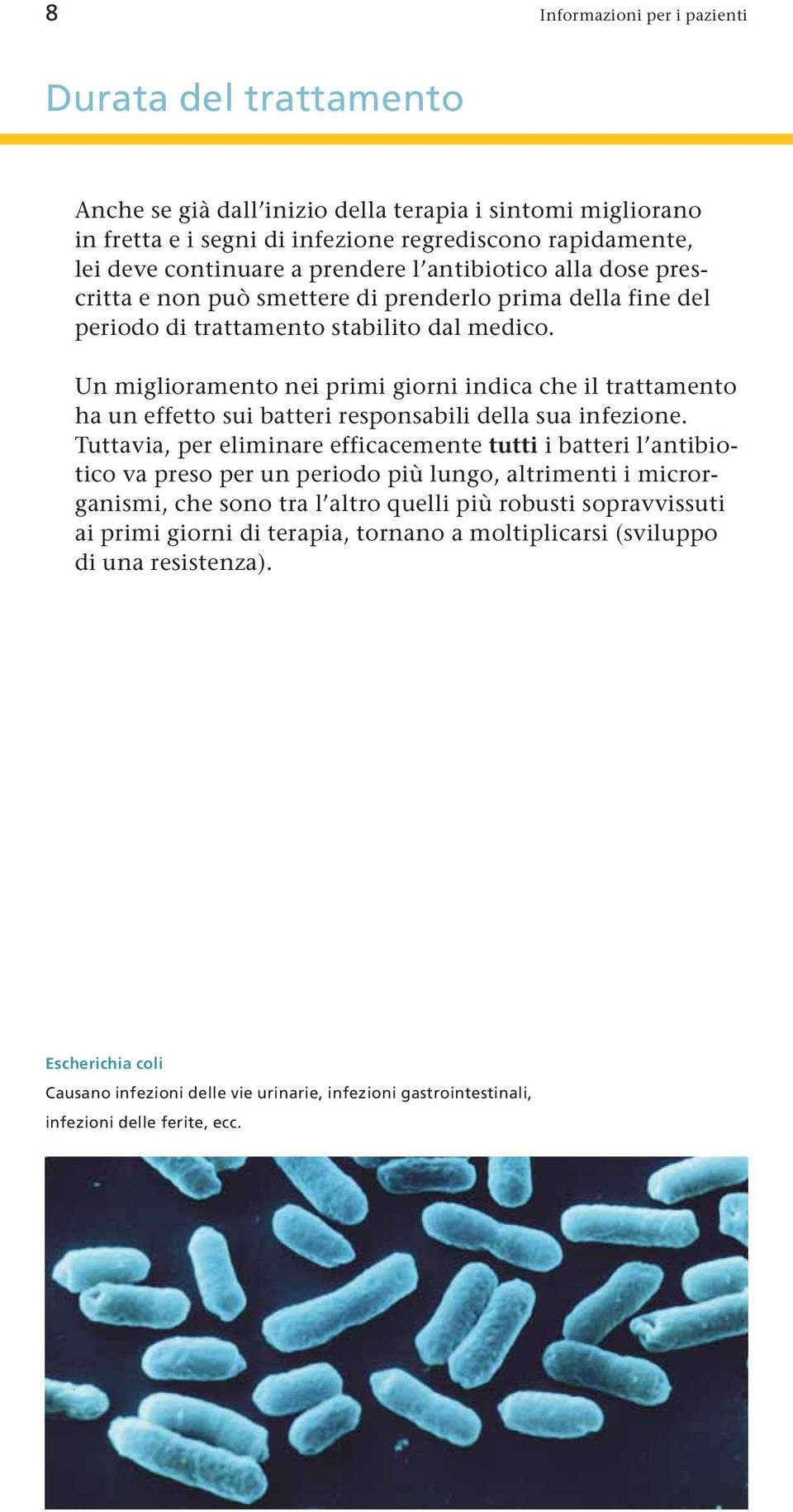 Un miglioramento nei primi giorni indica che il trattamento ha un effetto sui batteri responsabili della sua infezione.