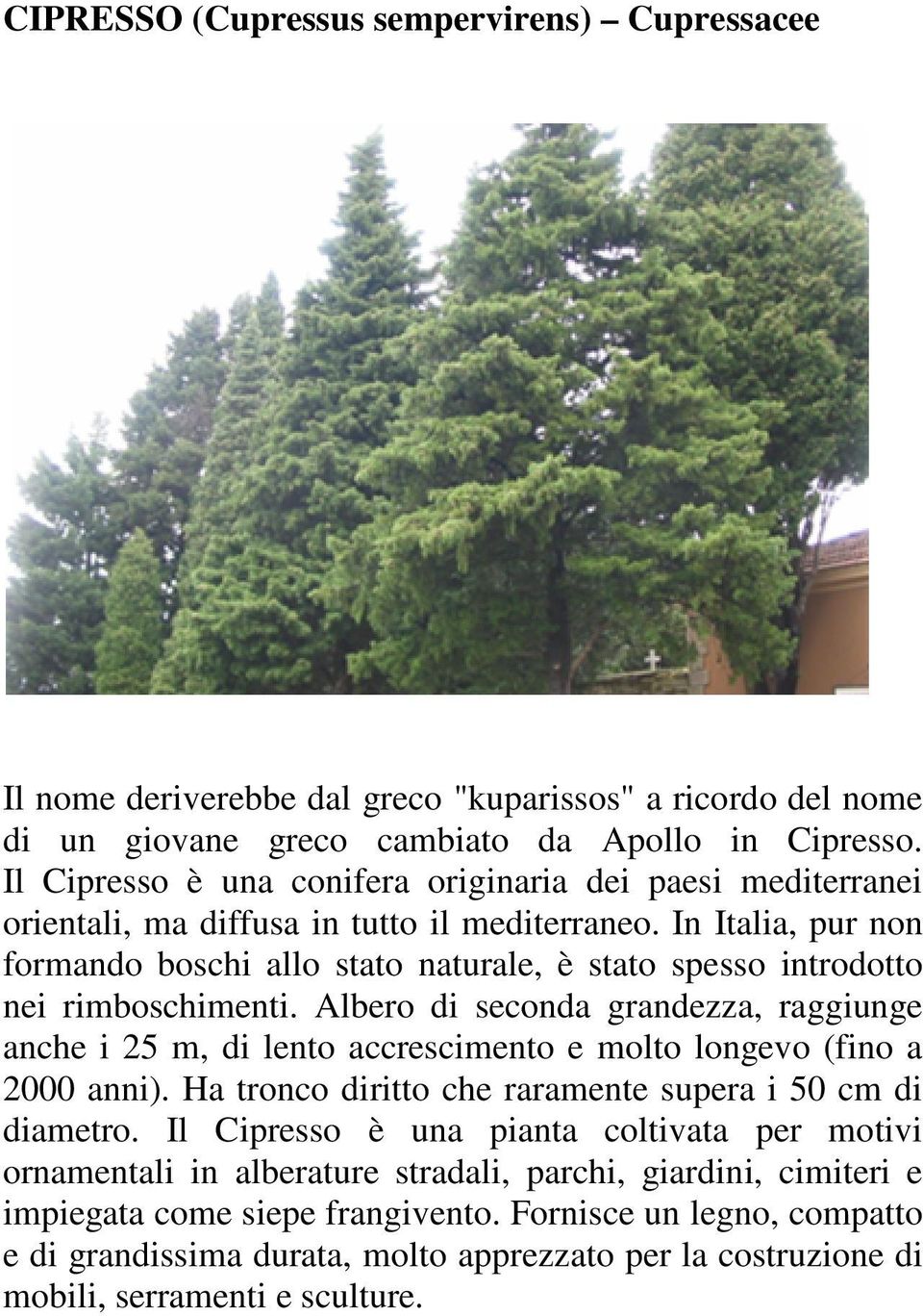 In Italia, pur non formando boschi allo stato naturale, è stato spesso introdotto nei rimboschimenti.