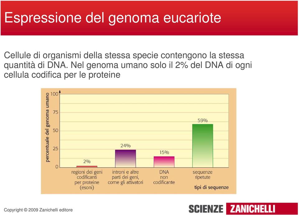 stessa quantità di DNA.