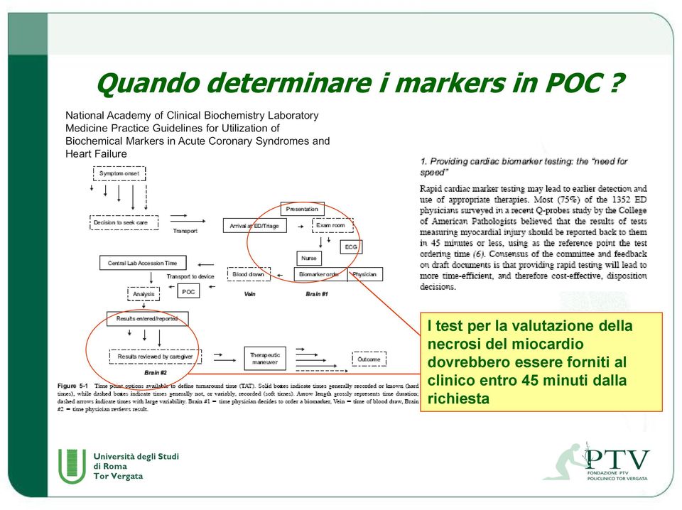 del miocardio dovrebbero essere forniti