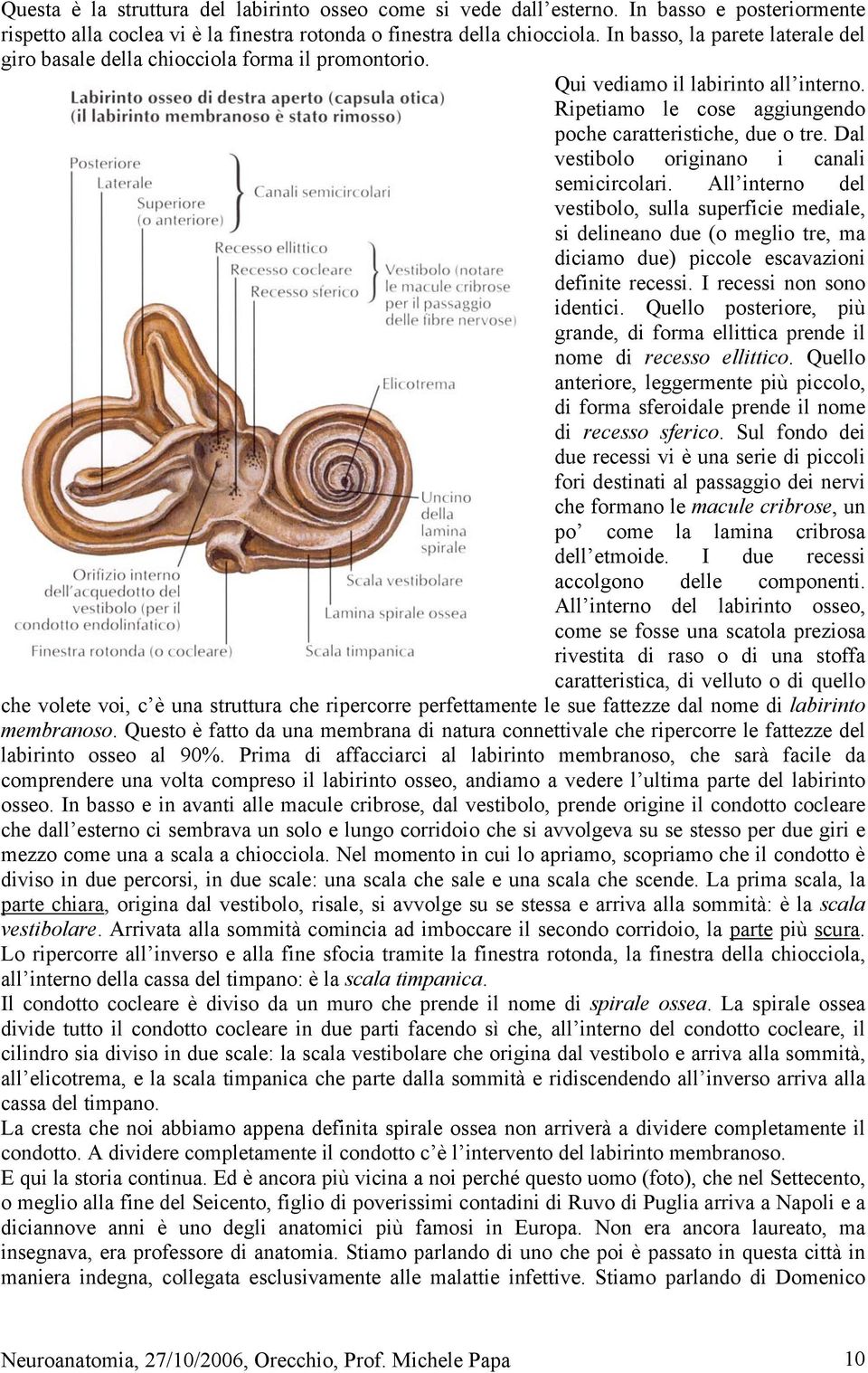 Dal vestibolo originano i canali semicircolari. All interno del vestibolo, sulla superficie mediale, si delineano due (o meglio tre, ma diciamo due) piccole escavazioni definite recessi.