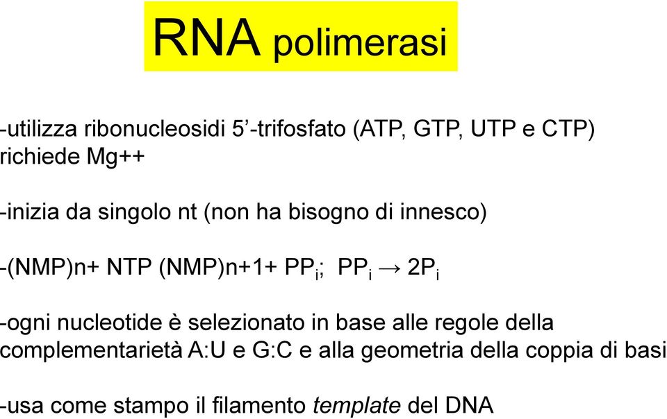 PP i 2P i -ogni nucleotide è selezionato in base alle regole della complementarietà