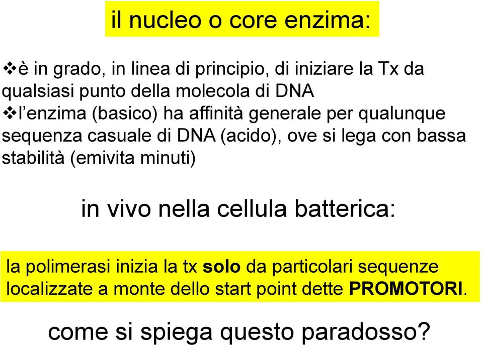 si lega con bassa stabilità (emivita minuti) in vivo nella cellula batterica: la polimerasi inizia la tx