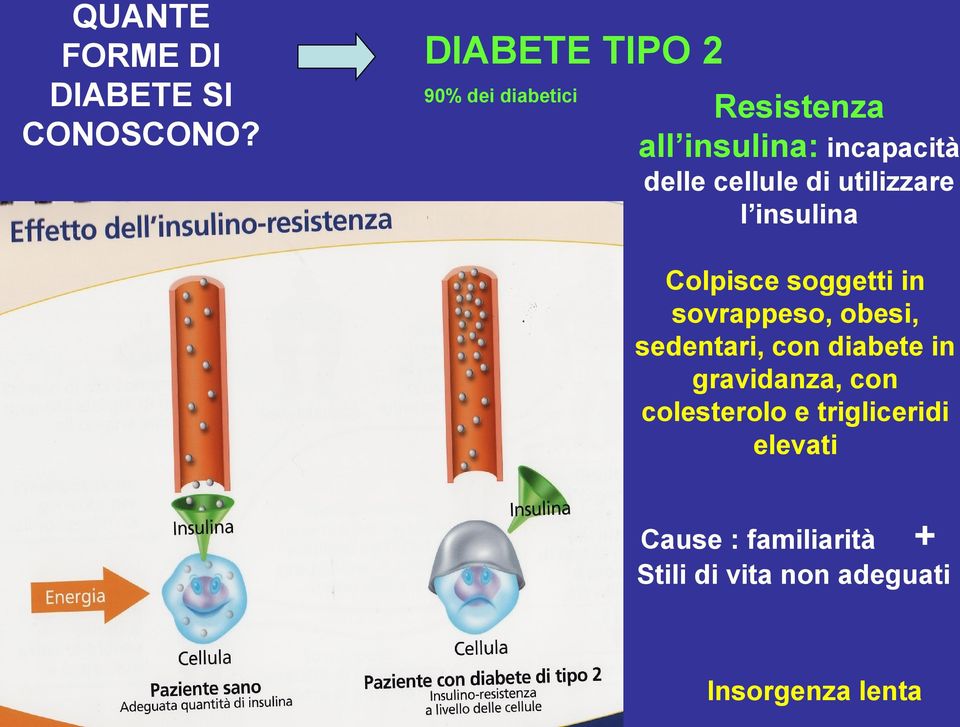cellule di utilizzare l insulina Colpisce soggetti in sovrappeso, obesi,
