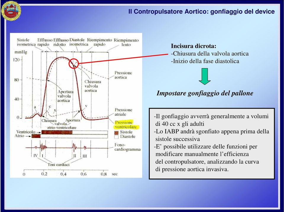 gli adulti -Lo IABP andrà sgonfiato appena prima della sistole successiva -E possibile utilizzare delle