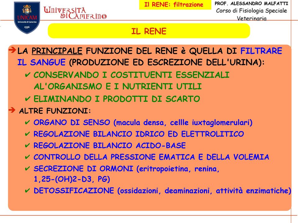 iuxtaglomerulari) REGOLAZIONE BILANCIO IDRICO ED ELETTROLITICO REGOLAZIONE BILANCIO ACIDO-BASE CONTROLLO DELLA PRESSIONE EMATICA E