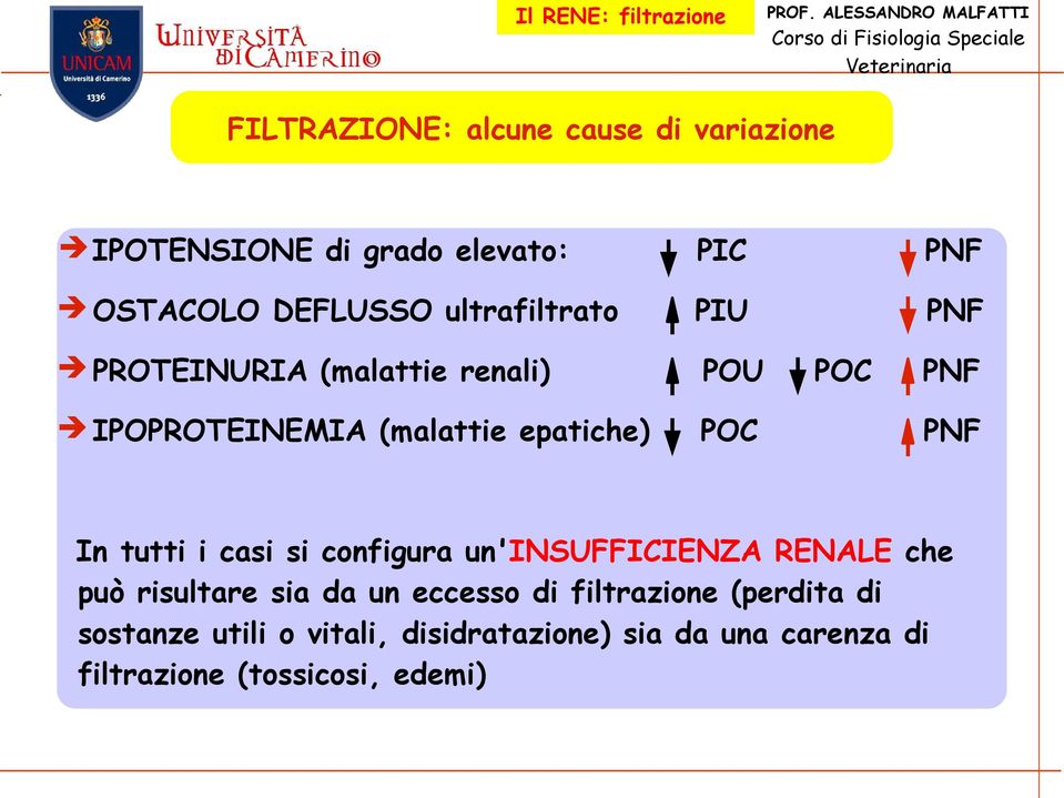 PNF In tutti i casi si configura un'insufficienza RENALE che può risultare sia da un eccesso di