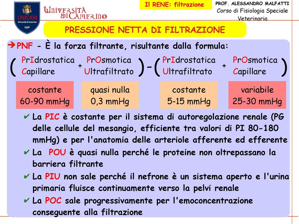 efficiente tra valori di PI 80-180 mmhg) e per l'anatomia delle arteriole afferente ed efferente La POU è quasi nulla perché le proteine non oltrepassano la barriera filtrante La PIU